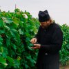 vinograd2019_4